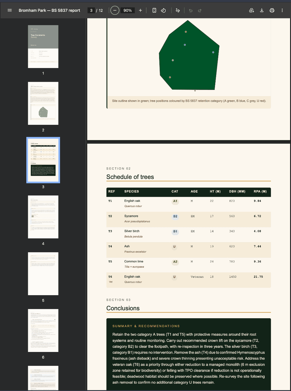 A multi-page Bromham Park tree survey report drafted by tree·canopy: site outline polygon, schedule of trees with categories and RPAs, and drafted conclusions